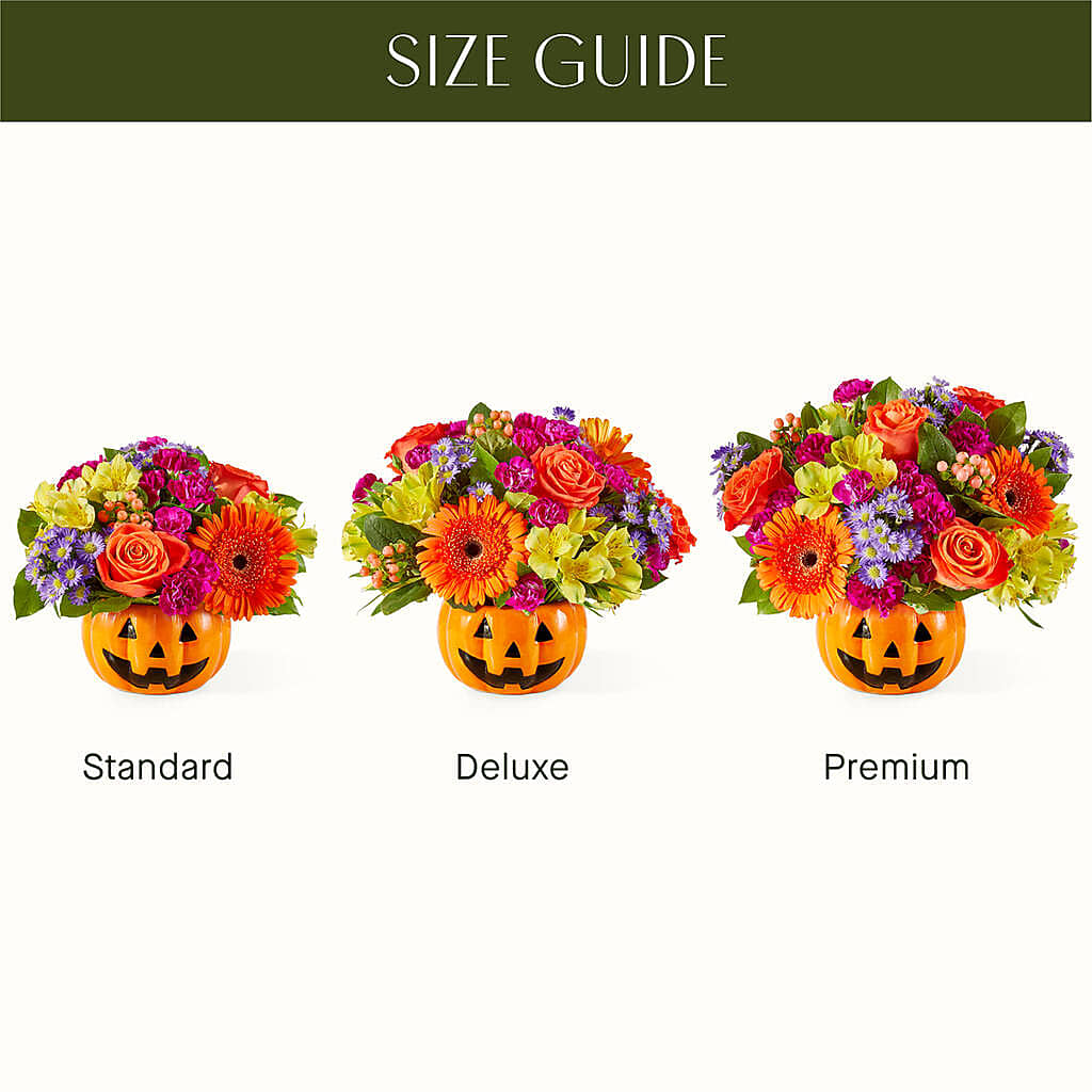 Tricks & Treats Pumpkin – MOM'S FLOWERS, Springfield OH
