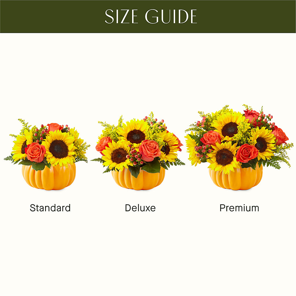Pick of the Patch Pumpkin Bouquet – MOM'S FLOWERS, Springfield OH