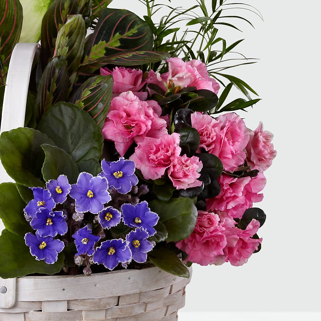 Peaceful Garden Planter – MOM'S FLOWERS, Springfield OH