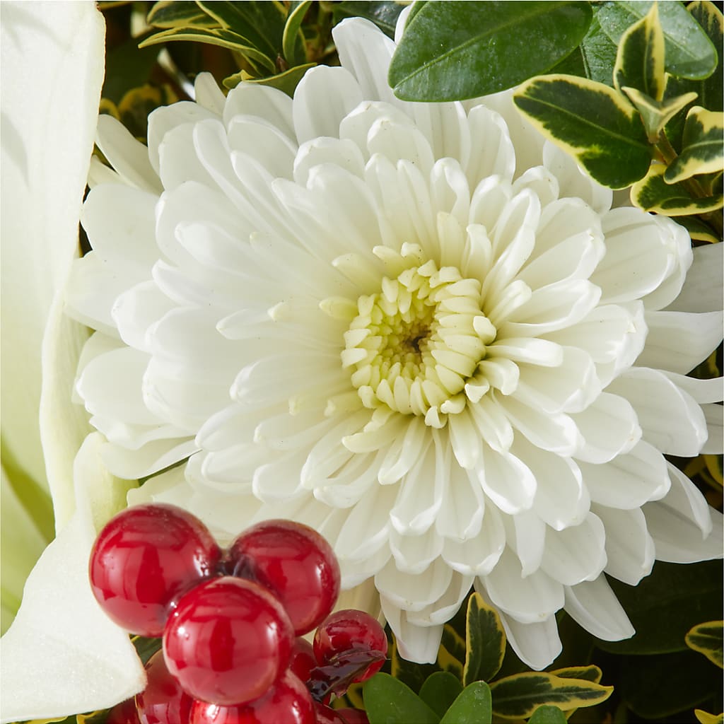 Festive Moments Tree – MOM'S FLOWERS, Springfield OH