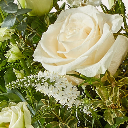 Cashmere Bouquet – MOM'S FLOWERS, Springfield OH