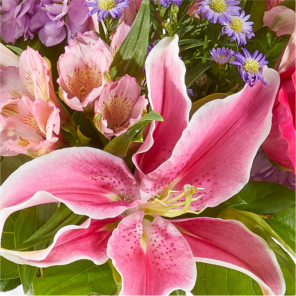 Written in the Stars Bouquet – MOM'S FLOWERS, Springfield OH