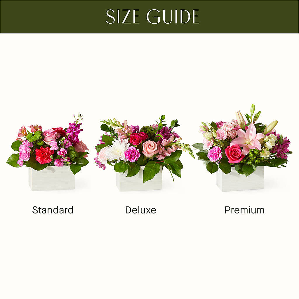 Sweetberry Box – A Florist Original – MOM'S FLOWERS, Springfield OH