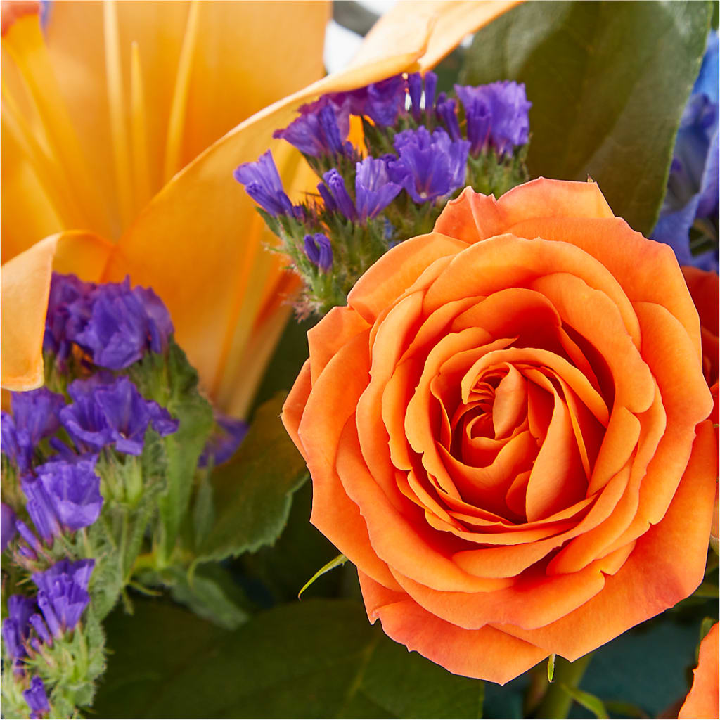 Radiant Citrus Box Bouquet – MOM'S FLOWERS, Springfield OH
