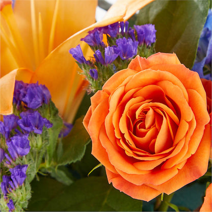 Radiant Citrus Box Bouquet – MOM'S FLOWERS, Springfield OH