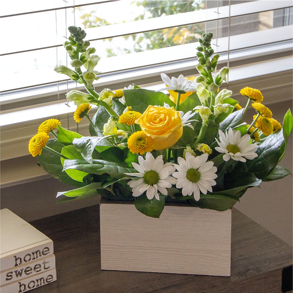 Sun Salutation Box Bouquet – MOM'S FLOWERS, Springfield OH