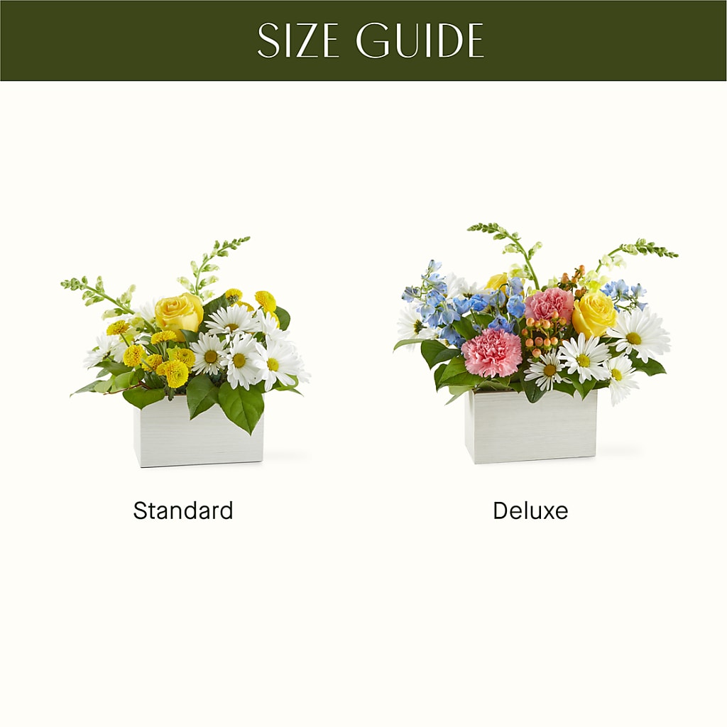 Sun Salutation Box Bouquet – MOM'S FLOWERS, Springfield OH