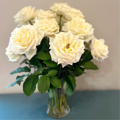 Long Stem Yellow Rose Bouquet – MOM'S FLOWERS, Springfield OH
