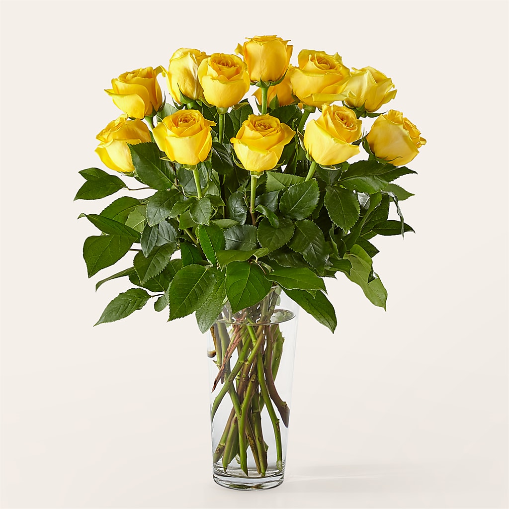 Long Stem Yellow Rose Bouquet – MOM'S FLOWERS, Springfield OH