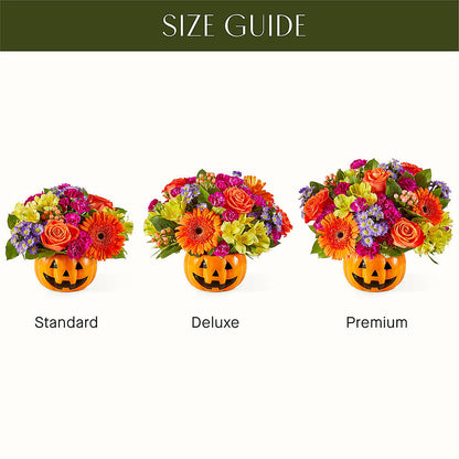 Tricks & Treats Pumpkin – MOM'S FLOWERS, Springfield OH