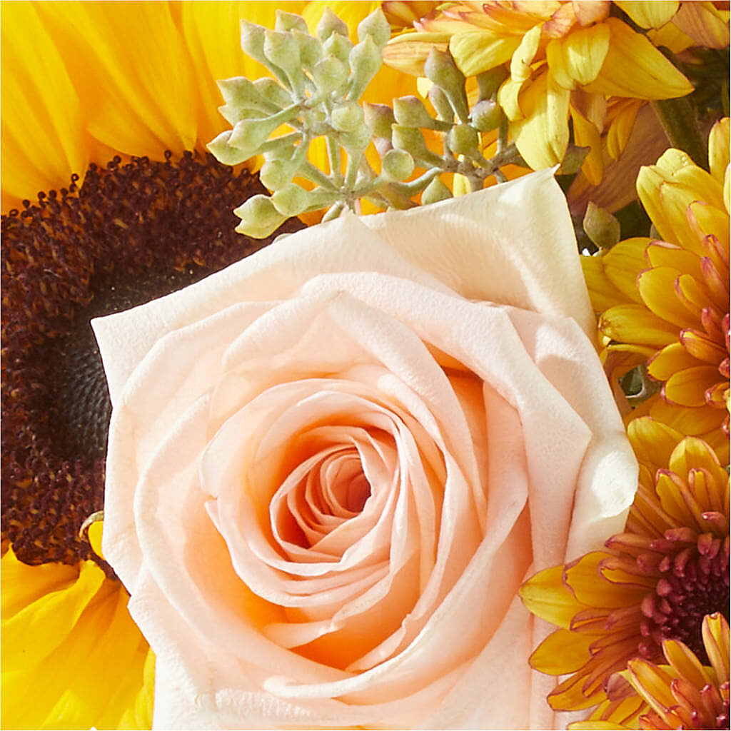 Pumpkin to Talk About Bouquet – MOM'S FLOWERS, Springfield OH