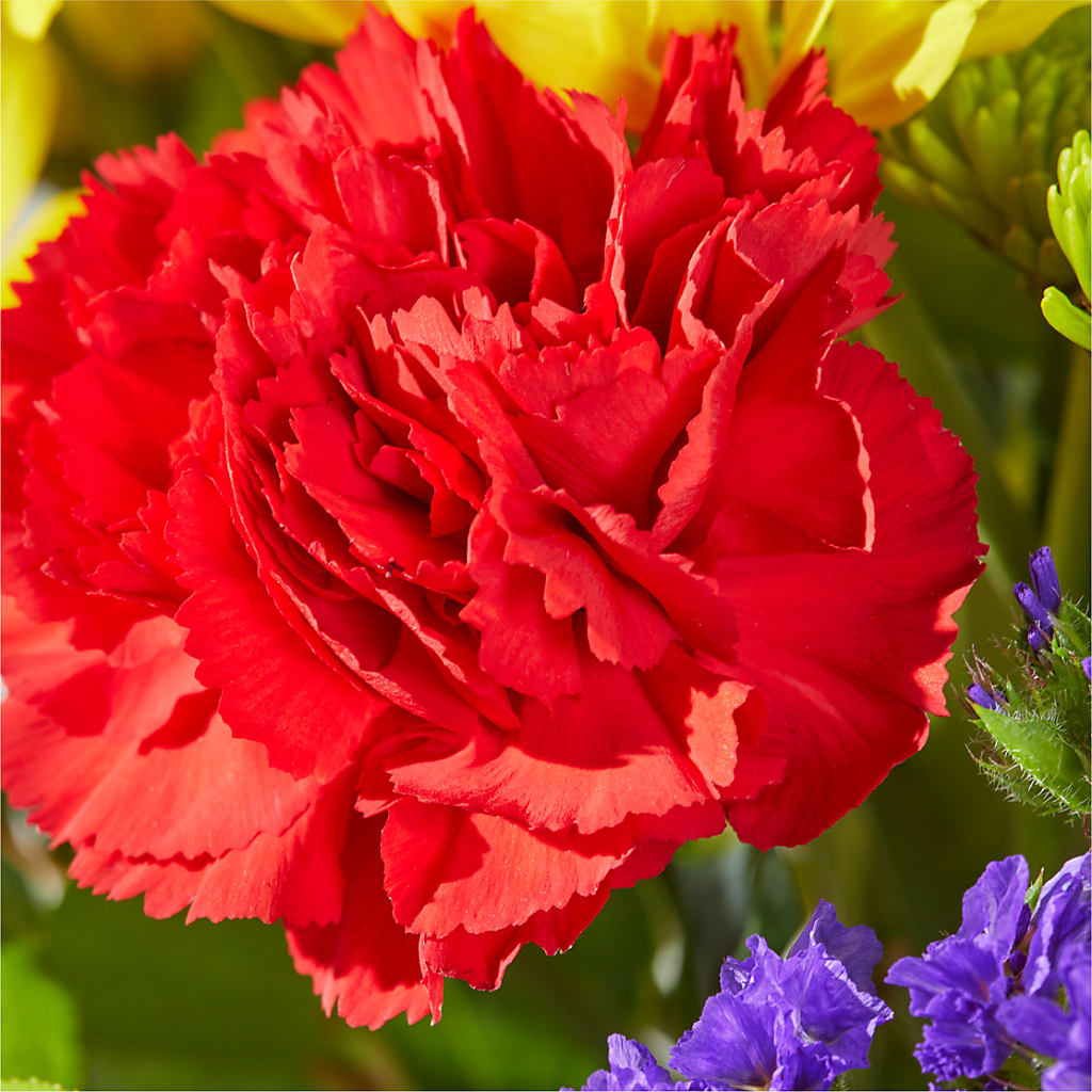 Brighter Days Bouquet – MOM'S FLOWERS, Springfield OH