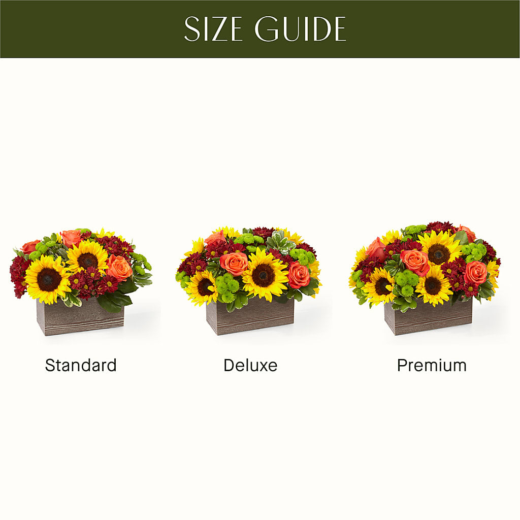 Happy Harvest Garden – MOM'S FLOWERS, Springfield OH