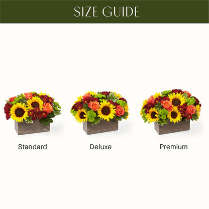 Happy Harvest Garden – MOM'S FLOWERS, Springfield OH