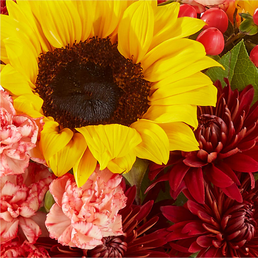 Fresh Cider Bouquet – MOM'S FLOWERS, Springfield OH