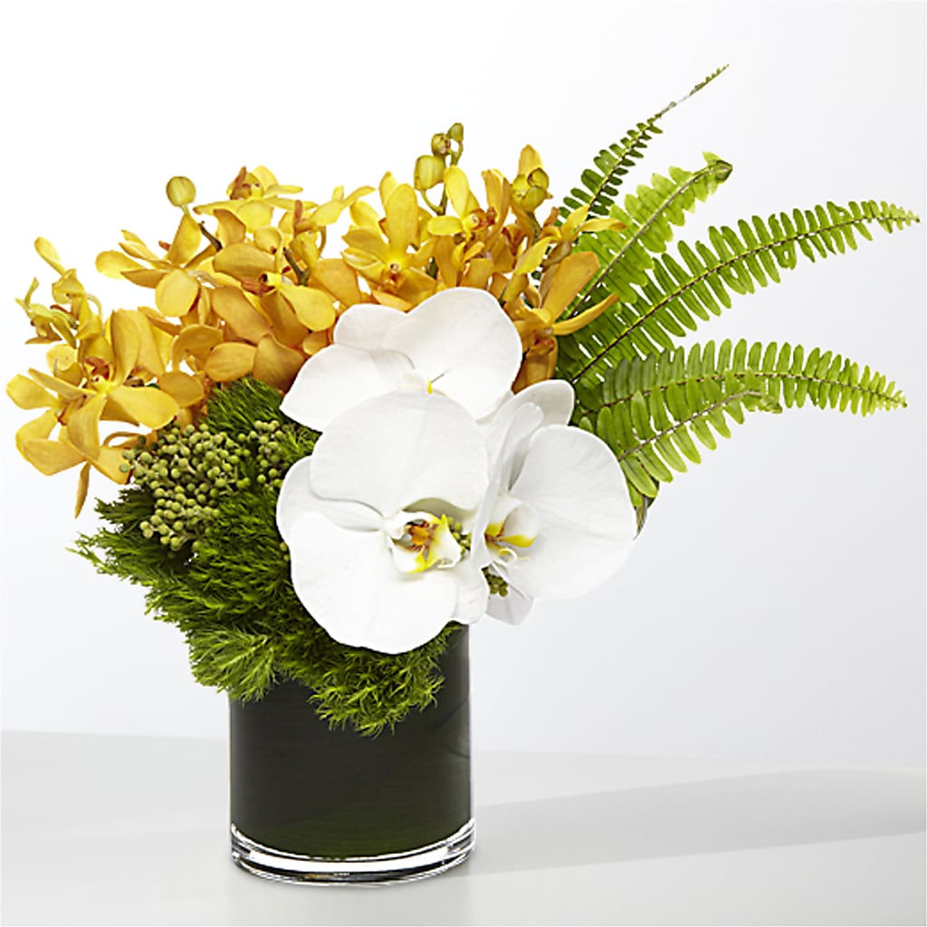 The Tropics – MOM'S FLOWERS, Springfield OH