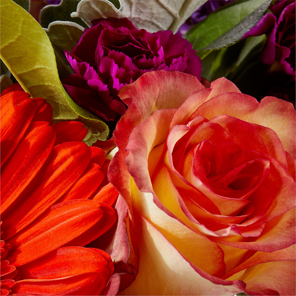 Sangria Bouquet – MOM'S FLOWERS, Springfield OH