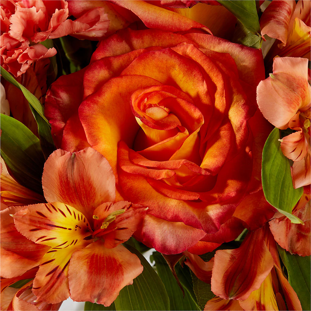 Apricot Glow Bouquet – MOM'S FLOWERS, Springfield OH