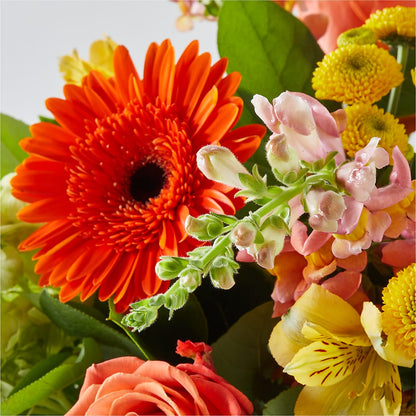 Autumn Sunshine Bouquet – MOM'S FLOWERS, Springfield OH