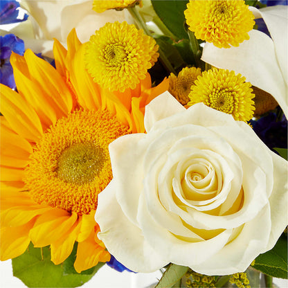 Stargazing Bouquet – MOM'S FLOWERS, Springfield OH