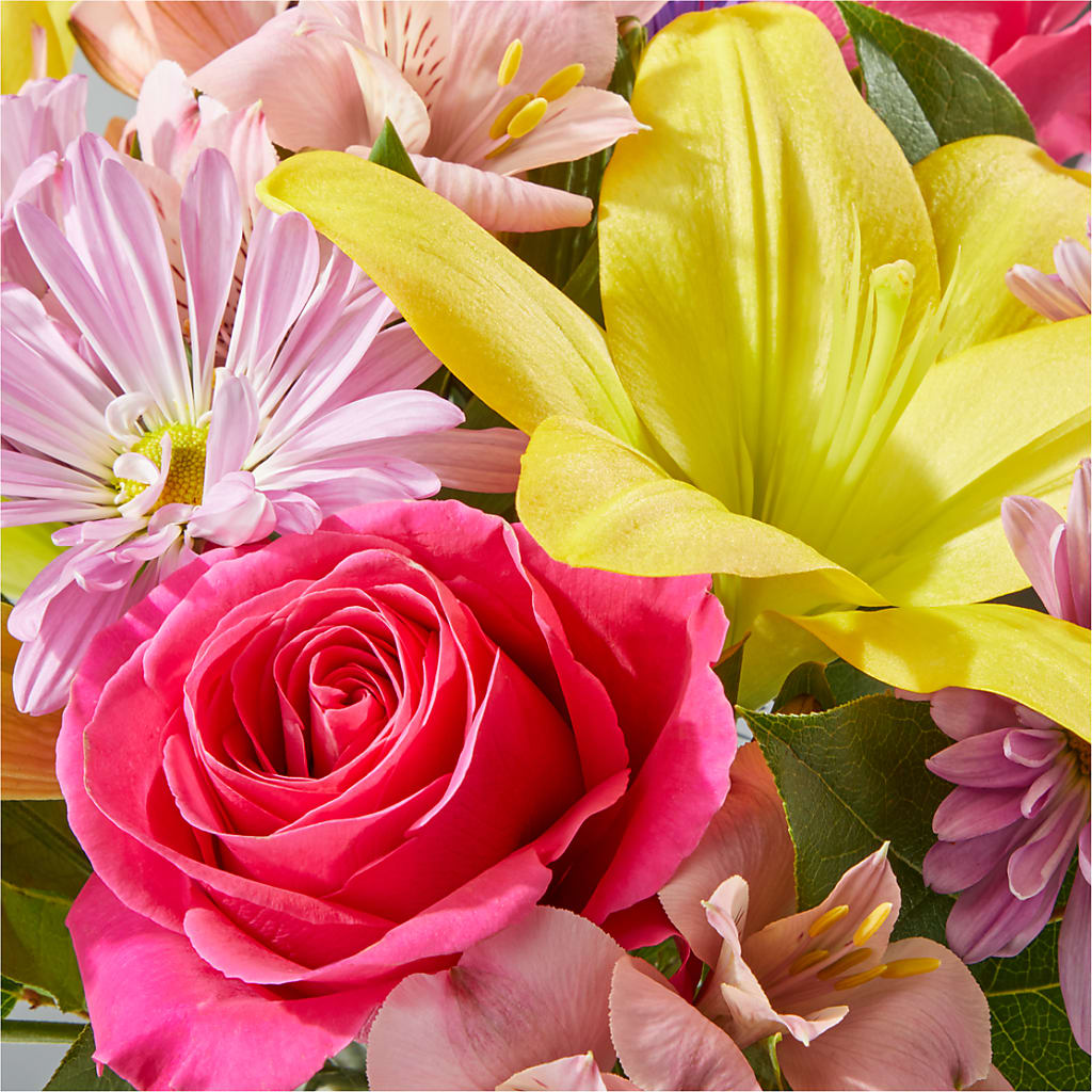 Sprinkles Bouquet – MOM'S FLOWERS, Springfield OH