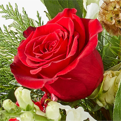 Deck the Halls Bouquet – MOM'S FLOWERS, Springfield OH