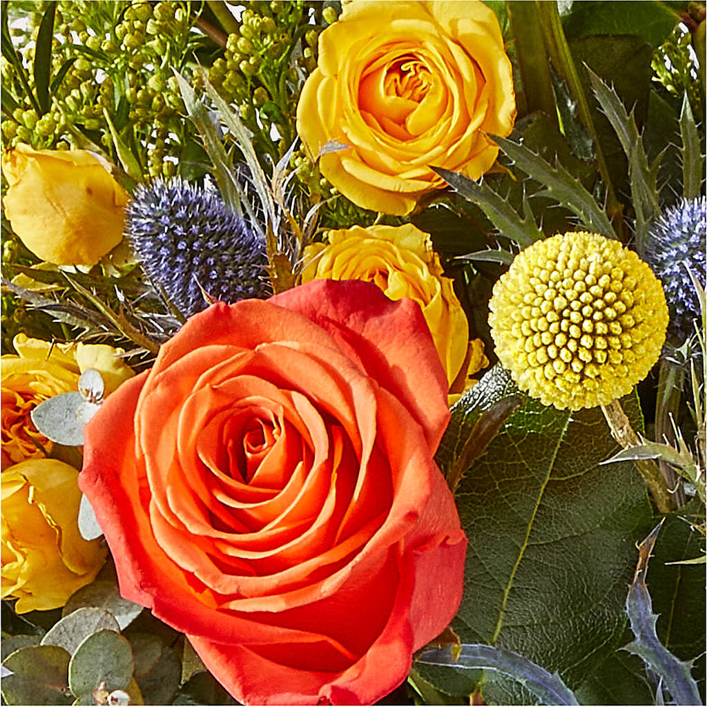 Disco Bouquet – MOM'S FLOWERS, Springfield OH