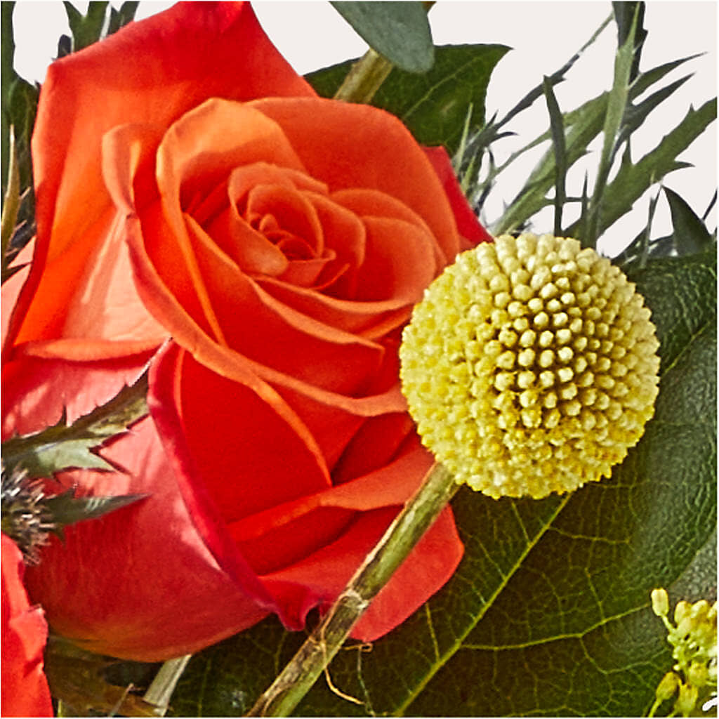 Disco Bouquet – MOM'S FLOWERS, Springfield OH