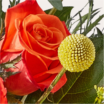 Disco Bouquet – MOM'S FLOWERS, Springfield OH