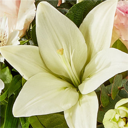 Ballet Slippers Bouquet – MOM'S FLOWERS, Springfield OH