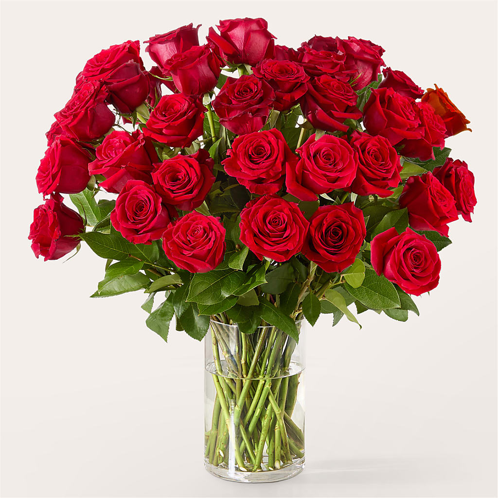 The One Red Rose Bouquet – MOM'S FLOWERS, Springfield OH