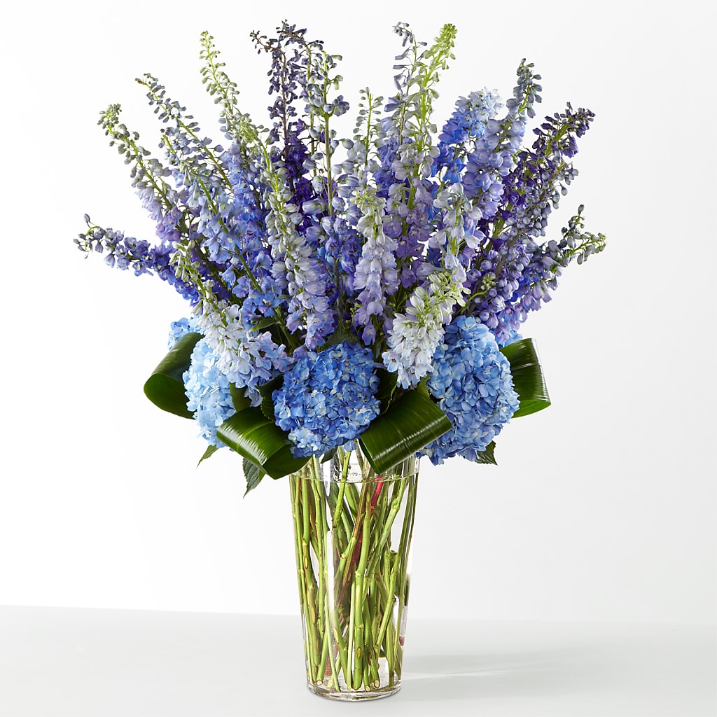 The Editorial – MOM'S FLOWERS, Springfield OH